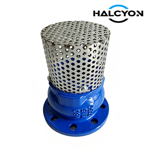 Marine Foot Valve